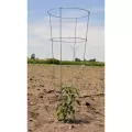 Midwest Wire Works 54" Heavy Duty Cage 4 Ring 4 Leg