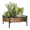Panacea 10" Succulent Tray with Stand Hammered Copper Finsh