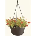 Bloem 12" Dura Cotta Hanging Basket Black