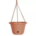 Bloem 13" Hanging Basket Terra Cotta