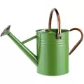 WSP 1 Gallon Watering Can w/ Copper Accents Tweed Green