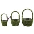 SuperMoss 3pc Vista Deco Round Basket Set w/Handle