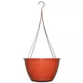 Bld 14.00 SL Hanging Basket W/TERRACOTTA 26" FLEX HGR TERRACOTTA 25/CS