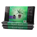 HDI Root Riot Tray Of 50 w/o Clonex