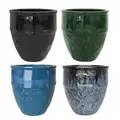MCarr 24pc Fleur De Lis Planter Pallet Mixed Colors