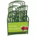WSP Half Hoop Plant Support Display Deal