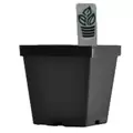 BLD MAXI SQUARE W/TS BLK 540/CS 40CS/PL 691705