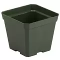 DLN 04.50 SQ TRAD T/W 300GN 765/CS 48CS/PL