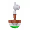NET SPINNET BRN BODY BRN MIST CONT GRN SPIN LPD