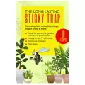 Enviro 10pk Long Lasting Sticky Traps