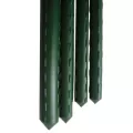 Gardener Select 2' Green Vinyl Steel Stake - Diameter 10mm