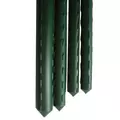 Gardener Select 6' Green Vinyl Steel Stake - Diameter 10mm