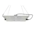 HLG 65V2 Lamp 20 Samsung Fixture - 1 Each