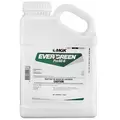 Evergreen Pro 60-6 Gl (1/Cs) HAZ BY AIR ( Pyrethrins and Piperonyl butoxide )