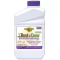 Bonide Qt Root N' Grow Root Stimulator 4-10-3