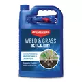 BioAdv 1Gal Weed & Grass Killer RTU