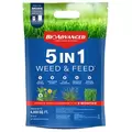 BioAdv 9.6
