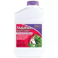 Bonide Qt Malathion 50E Concentrate