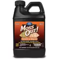 Lilly Miller 54oz Moss Out For Roofs Concentrate