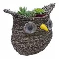 Gardener Select 9.5" Medium Owl Rattan Rope Topiary 12/CS