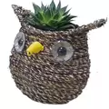 Gardener Select 7" Small Owl Rattan Rope Topiary 12/CS
