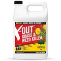 IKES 1gal X-Out Grass & Weed Killer Concentrate