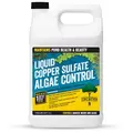 IKES 1gal Copper Algaecide Concentrate
