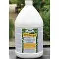 Medina 1gal 20% Vinegar 4/CS
