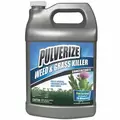 Pulverize 1gal Weed & Grass Killer Liquid Concentrate