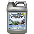 Seedlingers 2.5gal Winter Magic Liquid Concentrate