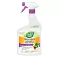 Garden Safe 32oz Houseplant & Garden Insect Killer