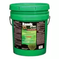 NGN Ramik Green Rodent Bait 1/2" Pellets 60x4oz Packs per Pail (36/Pl) ( Diaphacinone )