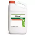 Syngenta Bonzi 2.5Gl (2/Cs) AGENCY ( paclobutrazol )