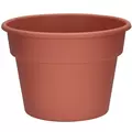 DLN 12.00 COLOR POT 1 CL 28/CS 48CS/PL
