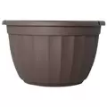 Grower Select 11.00 Serenity Hanging Basket Chocolate With Plastic 3 Strand Hanger 72/CS