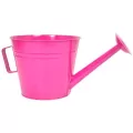 Grower Select 10.00 Watering Can Planter Fuchsia 12/CS 48CS/PL