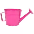Grower Select 7.50 Watering Can Planter 12/CS Fuchsia R004