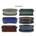 MCarr 6PC 10" Bonsai Planter Mixed Asst