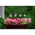 E-V 24pc Celestial Garden Critter Pot Stakes Asst