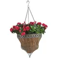 Gardener Select 14" Queen Isabella Parasol Hanging Basket Antique Green