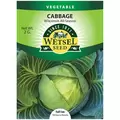 Cabbage, Wisconsin All Season - 2 grams