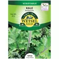 Kale, Red Russian Kale - 4g
