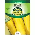 Squash, Gold Rush - 1 Gram