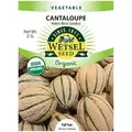 ORGANIC HALE BEST Cantaloupe 2G PKT