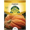 HEIRLOOM, PUMPKIN BIG MAX 4.5G
