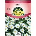 DAISY, SHASTA SGL. 280 MG