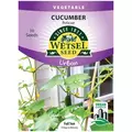 Cucumber, Peticue (patio) - 10 Seeds