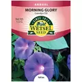 MORN. GLORY GRANDPA OTT 1.5 GM