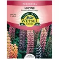 LUPINE, RUSSELL'S MIX 1.35 G