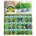 Wetsel 300PKT Herb Counter Display
